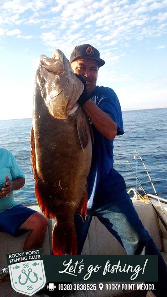 Rocky Point Fishing charters 6 Hour Fishing Trips Best Prices
